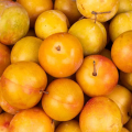 Prunes jaunes (500g)