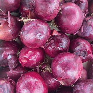 Oignons rouges (1kg) - Ferme urbaine aquaponique à Bordeaux