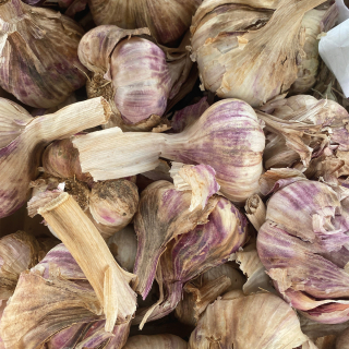 Ail blanc (250g) - Ferme urbaine aquaponique à Bordeaux