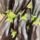 Aubergines (kg)