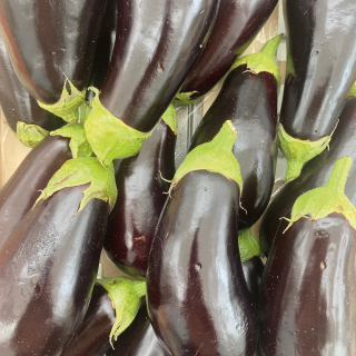 Aubergines (kg) - Ferme urbaine aquaponique à Bordeaux