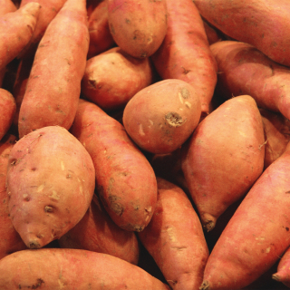 Patates douces (1kg) - Ferme urbaine aquaponique à Bordeaux