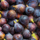 Figues (300g)