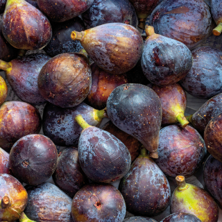 Figues (300g) - Ferme urbaine aquaponique à Bordeaux