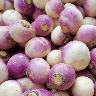 Navets (1kg) - Ferme urbaine aquaponique à Bordeaux