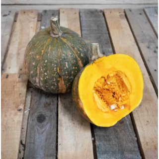 Courge shiatsu (unité) - Ferme urbaine aquaponique à Bordeaux