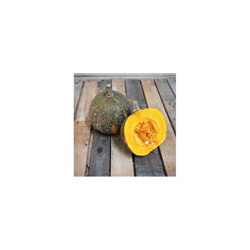 Courge shiatsu (unité)
