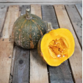 Courge shiatsu (unité)