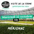 Visite Mercredi 22 octobre - 11H (1 place)