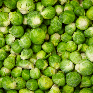 Choux de Bruxelles (500g) - Ferme urbaine aquaponique à Bordeaux