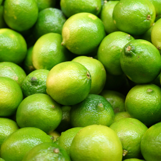 Citron vert (500g) - Ferme urbaine aquaponique à Bordeaux