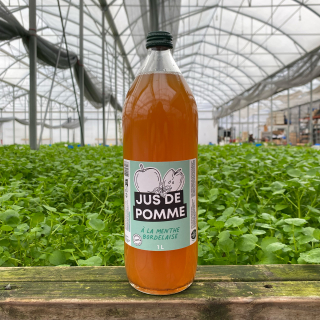 Jus de pomme à la menthe (1L) - Ferme urbaine aquaponique à Bordeaux