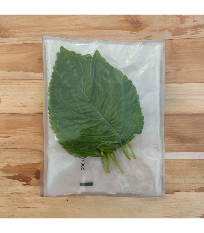Shiso vert (sachet 15 feuilles)
