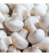 Champignons de paris blanc (300 g)