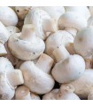 Champignons de paris blanc (300 g)