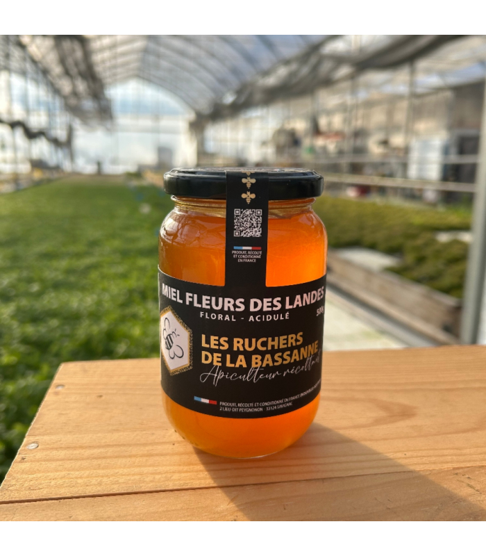 Miel de fleurs des landes 500g (pièce)